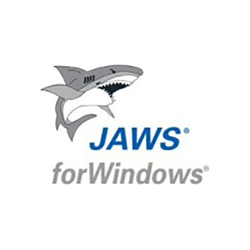 JAWS USB Dongle